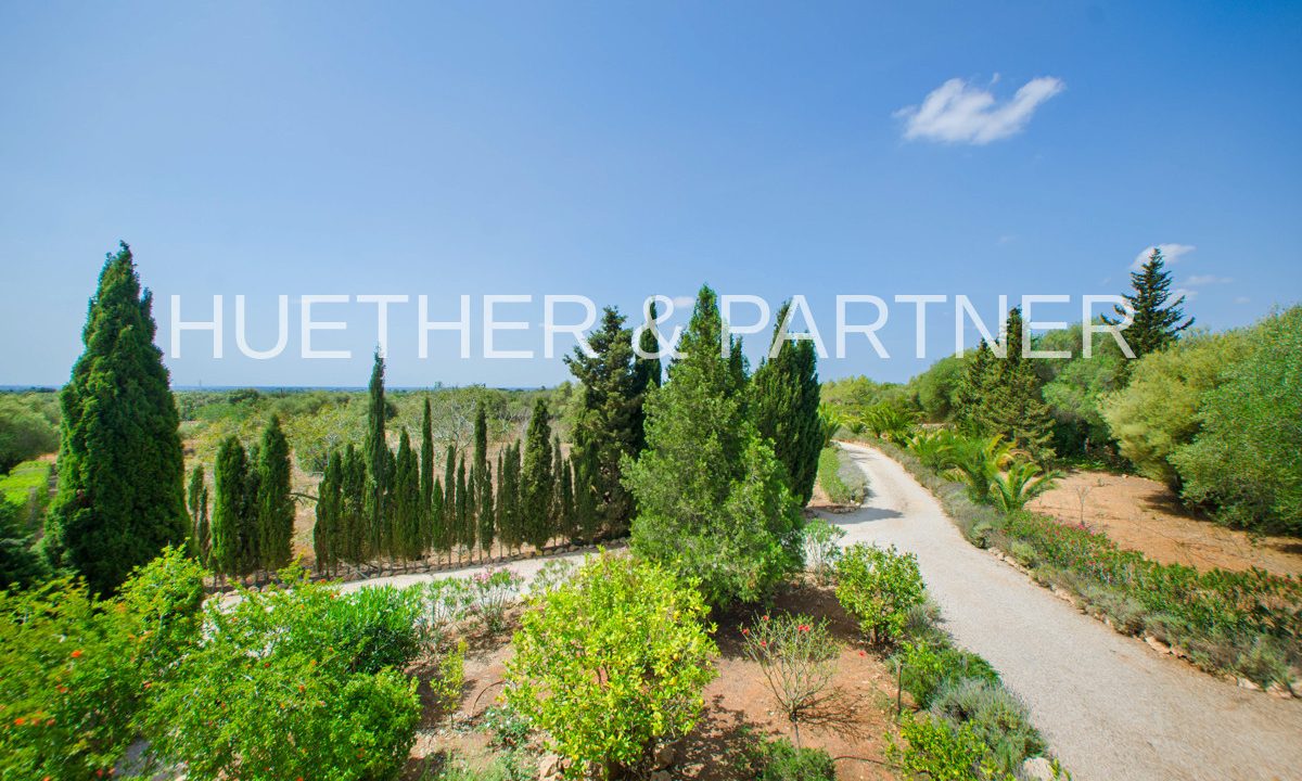 Einfahrt und Grundstück