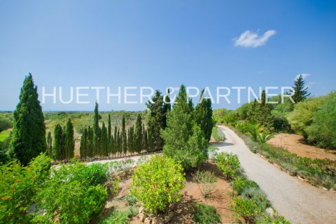 Einfahrt und Grundstück