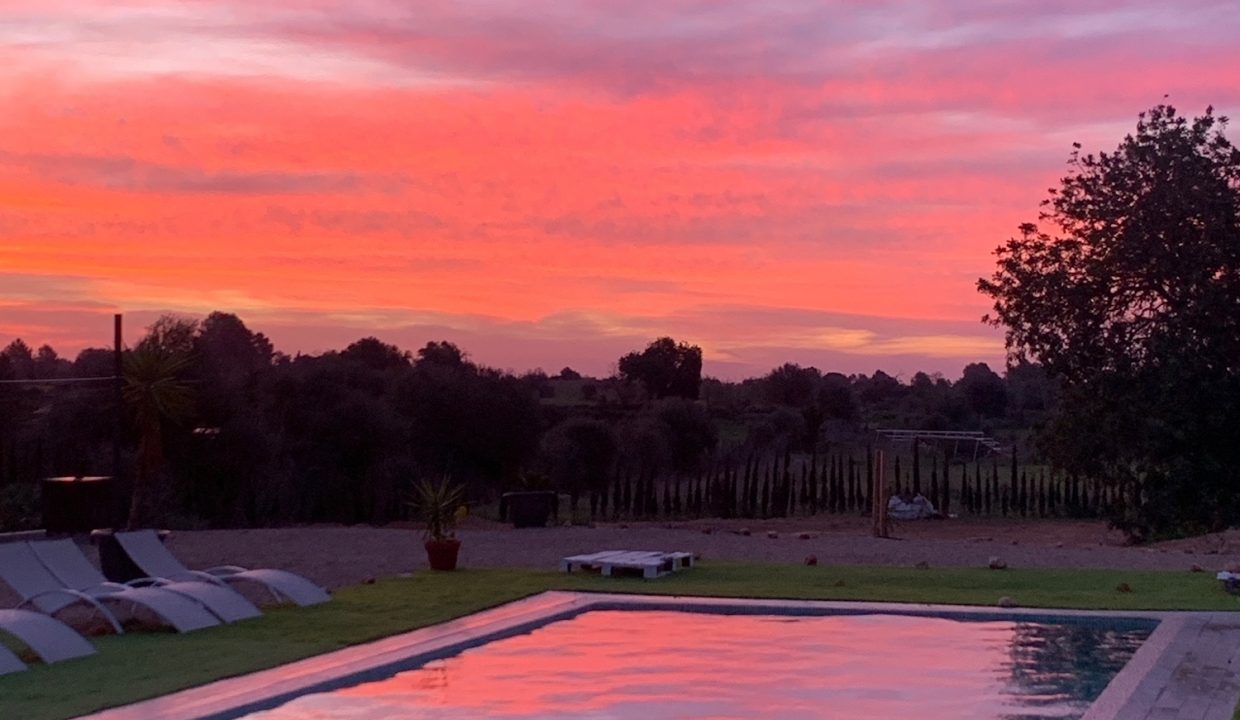 1ec4e36d-50a4-4c4a-b5c9-5674427dfd19