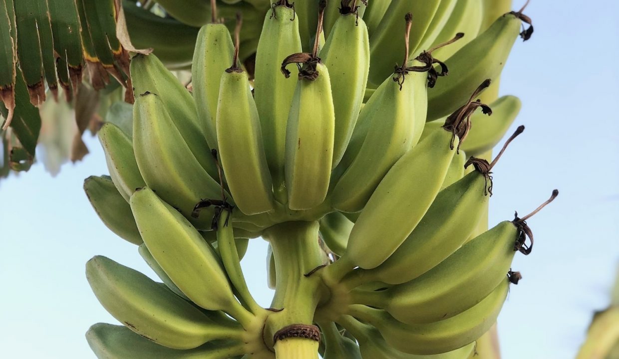 52bdd565-cff2-4e3e-aed6-1a4e31140f17