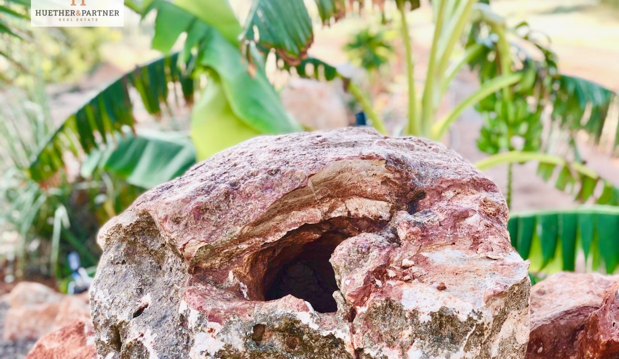 628b21af-cf17-4018-b1d2-19b5dacd96c9