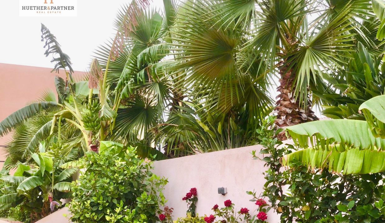 76c730c0-7c29-487e-9b38-fbb196f93627