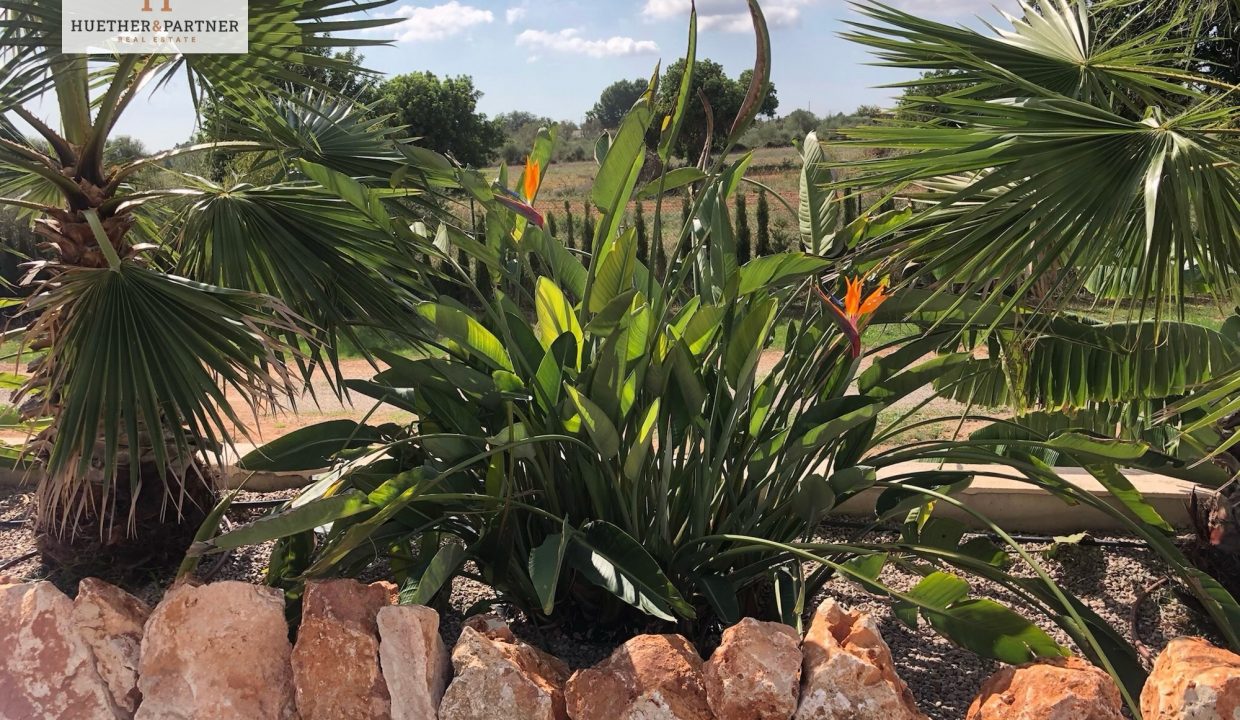 efce7eb5-ea4c-48f8-be30-2f1dd98f83f3